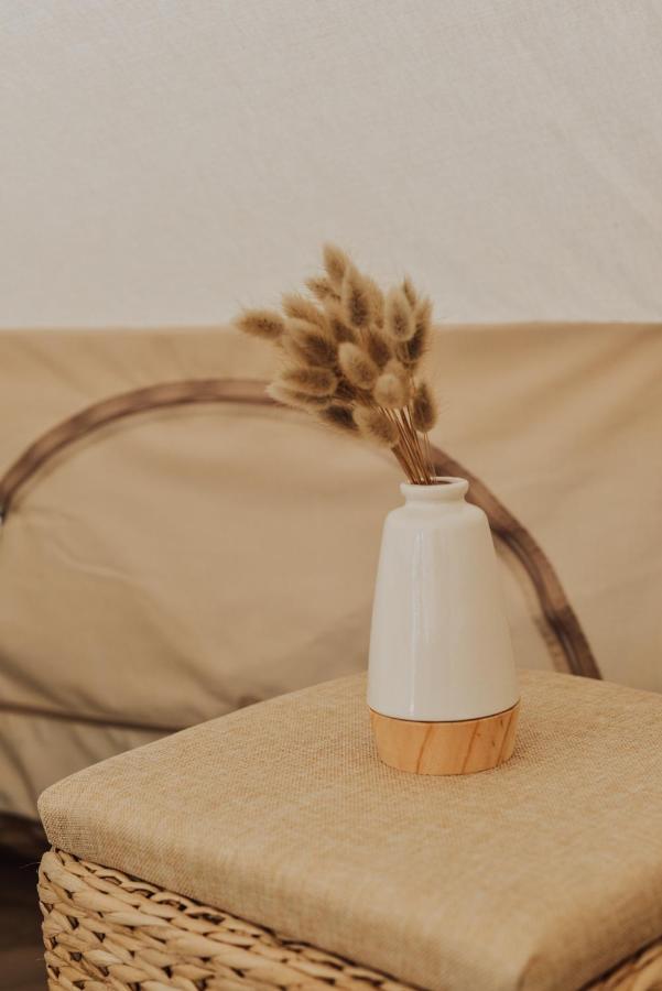 Cocooning Tipi - Seignosse 호텔 외부 사진